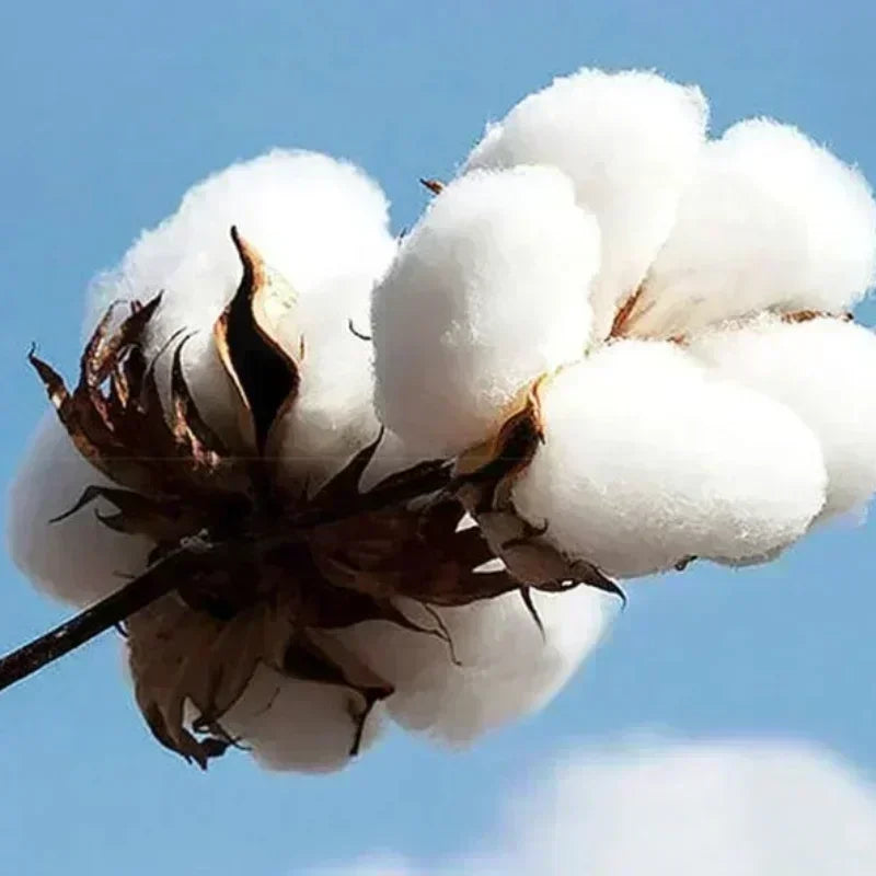 2025 Summer Three Days Grace One-X Paper Loose 100% Pure Cotton Printed T-shirt High Quality Street High Quality Men's Women's