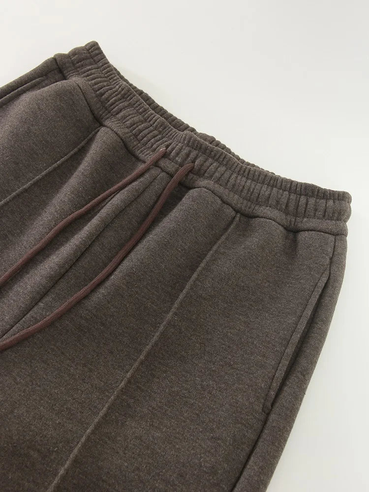 Streamgirl Thick Warm Straight Pants For Women Office Brown Wide Leg Trousers High Waist Women's Loose Pants For Ladies Spring