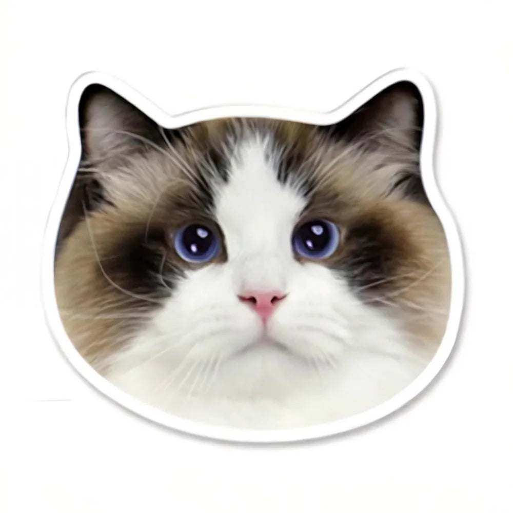 1 piece of custom Crocs decoration - personalized custom picture design, suitable for daily use and as a lovely gift